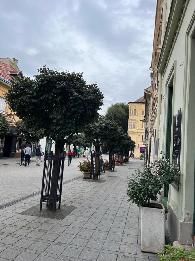 Wiener Garden Ráb Exteriér fotografie