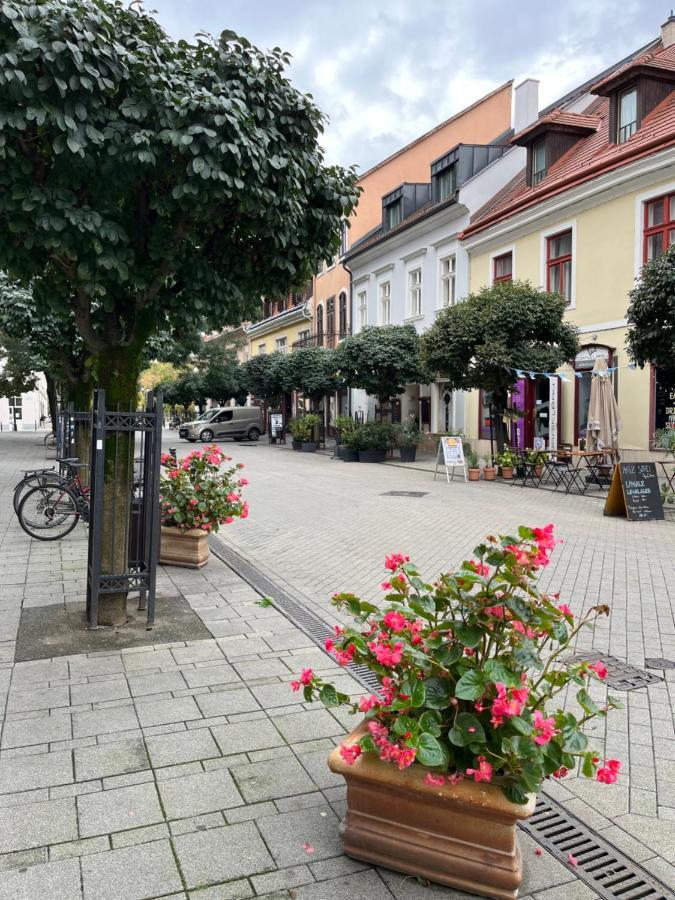 Wiener Garden Ráb Exteriér fotografie